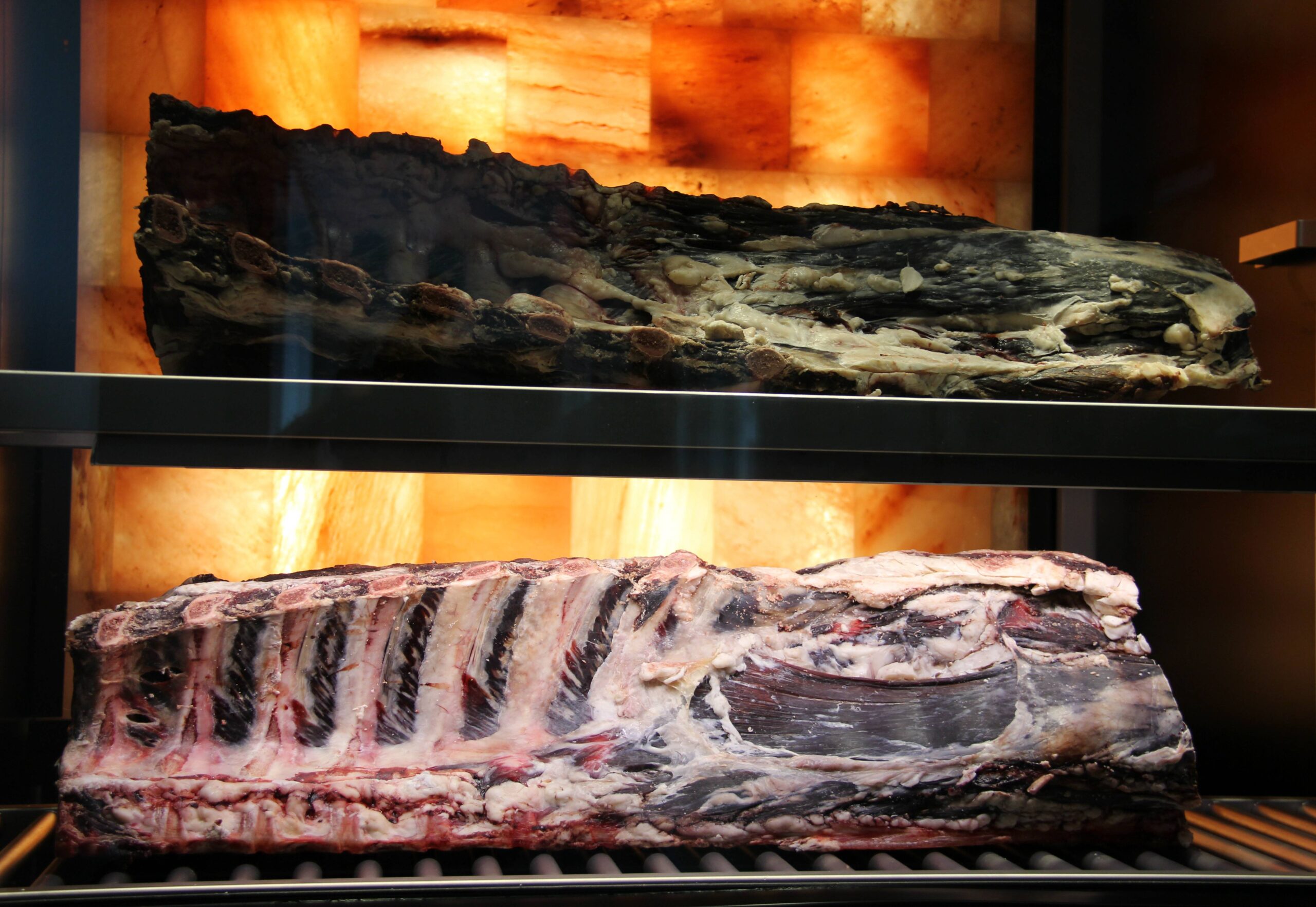 dryaged1